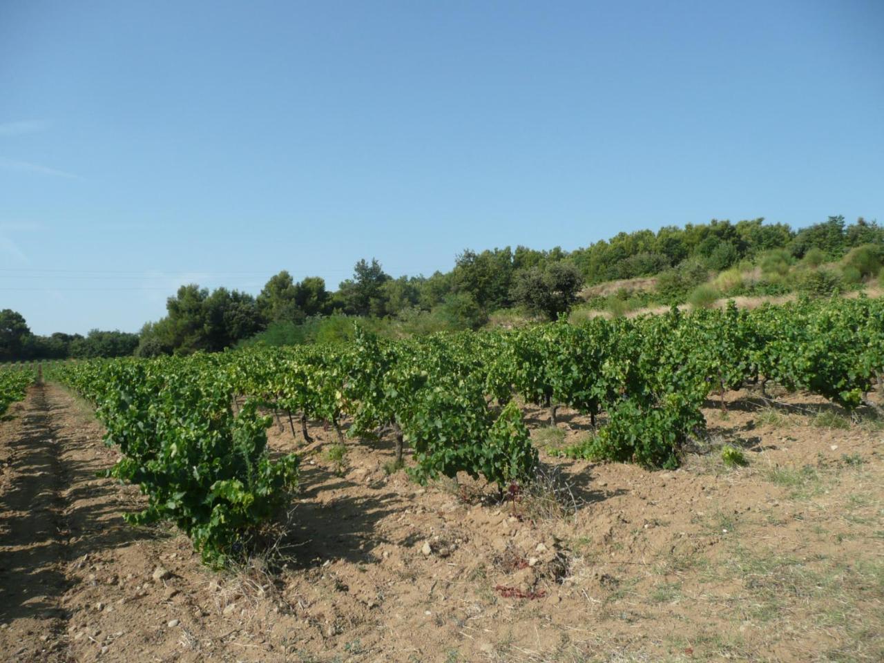 Gite Du Serre De Boudre Climatise, Spa Permanent Buisson Екстер'єр фото